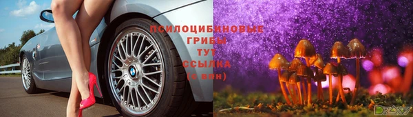 спайс Абинск