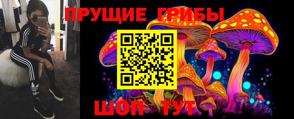 Уварово  Галлюциногенные грибы Cubensis  Вход с VPN  Псилоцибиновые грибы прущие грибы 